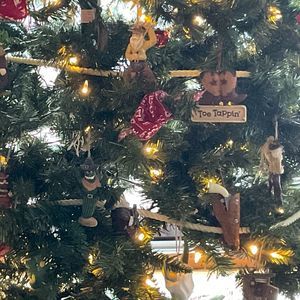 Meet your Posher, Jodie